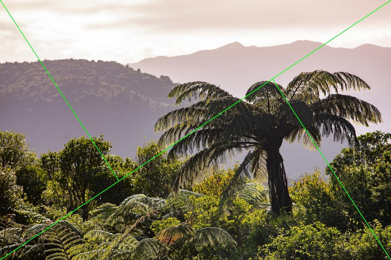 (2 Pack) Golden Triangle Composition Tool View Finder/Viewer Photography/Painting/Drawing Credit Card Size Fits in Wallet/Camera Bag 2