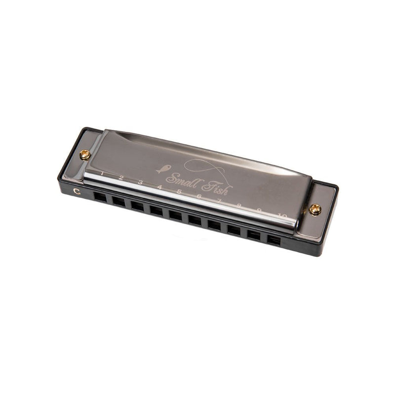 Harmonica for Toddlers, Kids, and Adults, Mini Musical Instrument for Beginners: Boys & Girls with 10 Holes and 20 Notes, Stainless Steel Diatonic Mouth Organ Complete with Storage Bag for Children