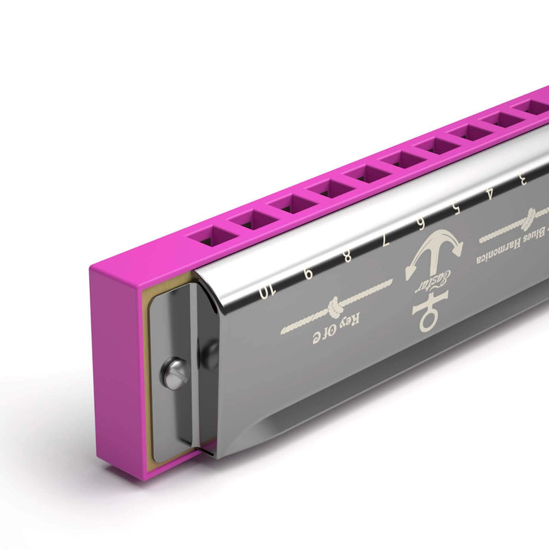 Eastar Major Blues Diatonic Harmonica, 10 Holes C Key Beginner Harmonica for Kids Children Adults Students, with Hard Case and Cloth, Pink