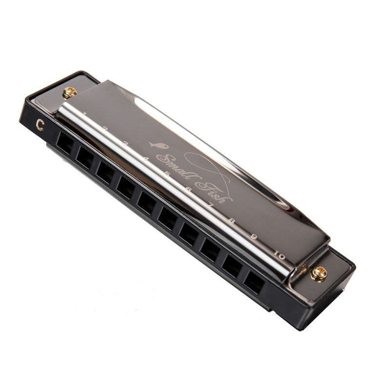 Harmonica for Toddlers, Kids, and Adults, Mini Musical Instrument for Beginners: Boys & Girls with 10 Holes and 20 Notes, Stainless Steel Diatonic Mouth Organ Complete with Storage Bag for Children