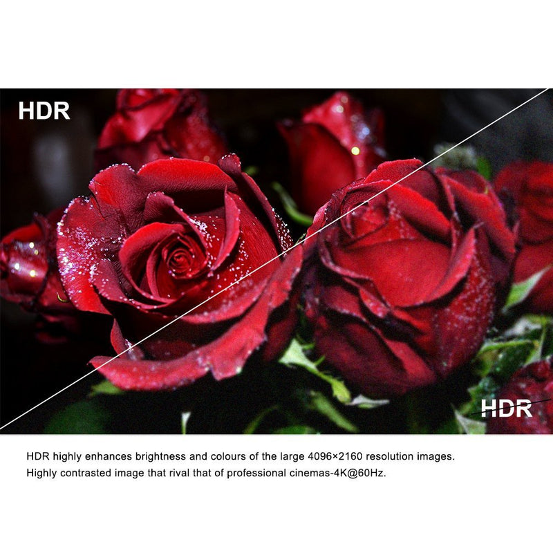 Fiber HDMI Cable 6ft 4K 60Hz, FURUI Fiber Optic HDMI 2.0b Cable HDR10, ARC, HDCP2.2, 3D, 18Gbps Subsampling 4:4:4/4:2:2/4:2:0 Slim and Flexible HDMI Fiber Optic Cable-2M 6Feet