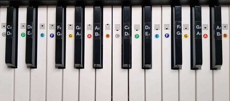 Color Piano Keyboard Stickers- Removable, Transparent, for White & Black Keys