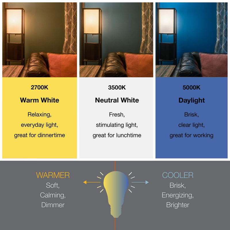 SYLVANIA Home Lighting 15345 Incandescent Bulb, G25-40W, Soft White Finish, Medium Base, Pack of 3 3 Pack