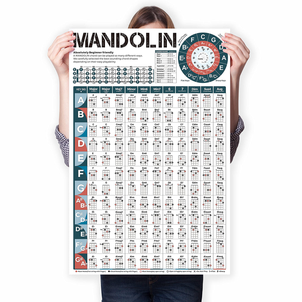 Mandolin Chord Chart Laminated Popular Chords, Mandolin Fretboard Notes and Circle of Fifths, Useful for Mandolin Beginners Adult or Kid, Large Mandolin Chord Poster Printed Waterproof Paper 16x24inch/40x60cm