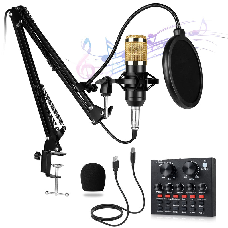Condenser Microphone,Studio Microphone Equipment,with bm 800 Microphone Stand,Sound Card,Shock Mount,Pop Filter for Recording Music,Skype,YouTube,Karaoke,Gaming Recording