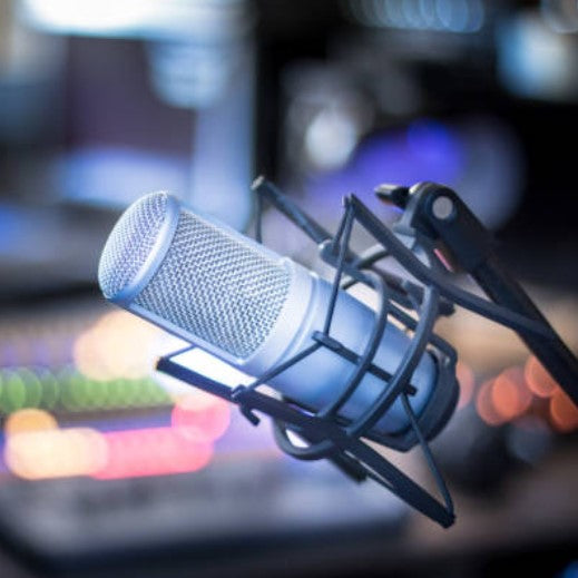 Foxnovo Radiodiffusion durable Studio Microphone Mic Suspension
