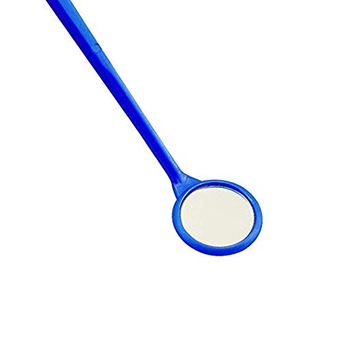 MIKE Plastic Dental Examination Mirrors 100pcs (Blue)