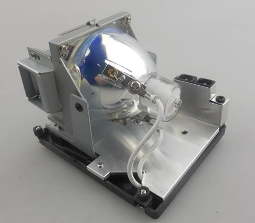 CTLAMP Compatible BL-FS300C Replacement Projector Lamp Bulb with Housing Compatible with OPTOMA TH1060P TX779P-3D D-952HD
