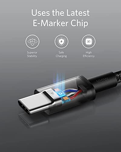 Anker 313 USB C to USB C Cable (6ft 100W, 2Pack) 317 Charger (100W)