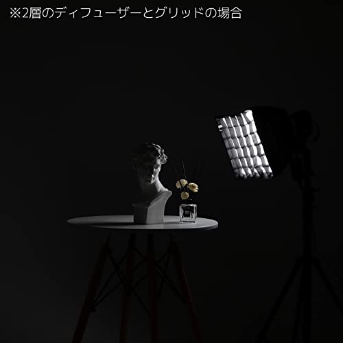 Godox ML-SF3030 Softbox, Direct Attachment (Requires No Bracket/Speed Ring) with Godox Mount for ML100Bi ML30 ML30Bi ML60 ML60Bi ML60IIBi LED Video Light for Photography Portrait Video Recording