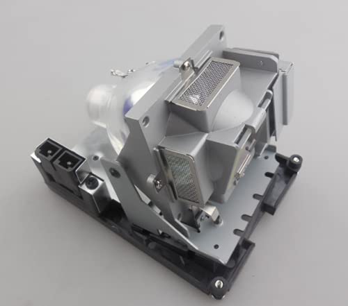 CTLAMP Compatible BL-FS300C Replacement Projector Lamp Bulb with Housing Compatible with OPTOMA TH1060P TX779P-3D D-952HD