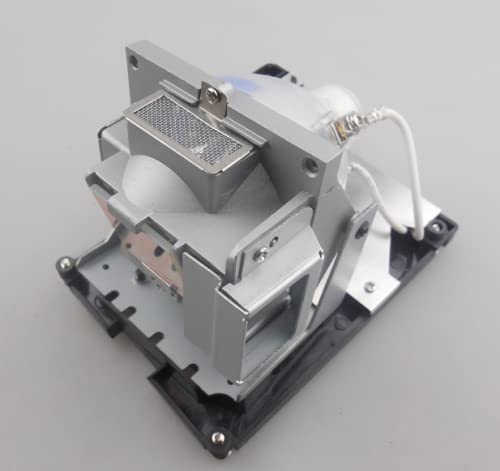 CTLAMP Compatible BL-FS300C Replacement Projector Lamp Bulb with Housing Compatible with OPTOMA TH1060P TX779P-3D D-952HD