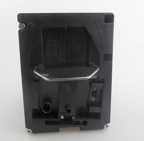 CTLAMP Compatible BL-FS300C Replacement Projector Lamp Bulb with Housing Compatible with OPTOMA TH1060P TX779P-3D D-952HD