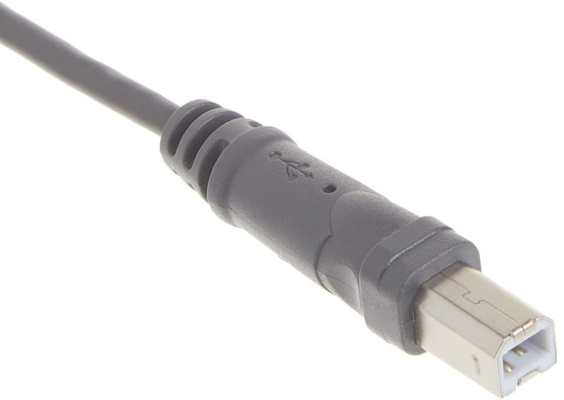 Belkin Components USB A/B Device Daisy Chain for USB Hub (6 Inches) (Pack of 2) 1 Count (Pack of 2)