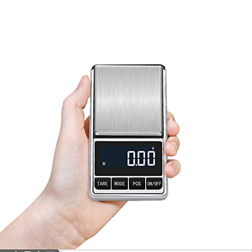 Portable Pocket Scale Jewelry Scale Mini Diamond Gold Coin Small Items Weight Gram Weigh Pocket Tool LCD Display Steel Body 300g X 0.1g - Sliver