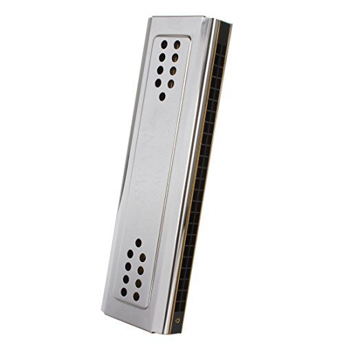 Swan 24 Holes Harmonica Tremolo (silver, Key Of C&G Double-side)