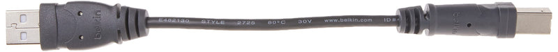 Belkin Components USB A/B Device Daisy Chain for USB Hub (6 Inches) (Pack of 2) 1 Count (Pack of 2)
