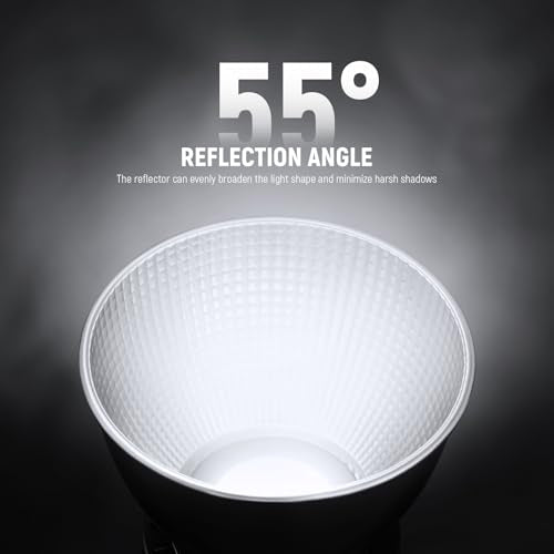 NEEWER RF1 7''/18cm Fish Scale Pattern Standard Reflector Diffuser with Bowens Mount for NEEWER CB300B, CB100C, FS230, Vision 4, Vision 5, S101-400W Pro, Q4 Studio Flash & LED Video Light