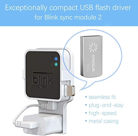 256GB Blink USB Flash Drive for Local Video Storage with The Blink Sync Module 2 Mount (Blink Add-On Sync Module 2 is NOT Included),2Pack 256 GB 2Pack + 2 Pack