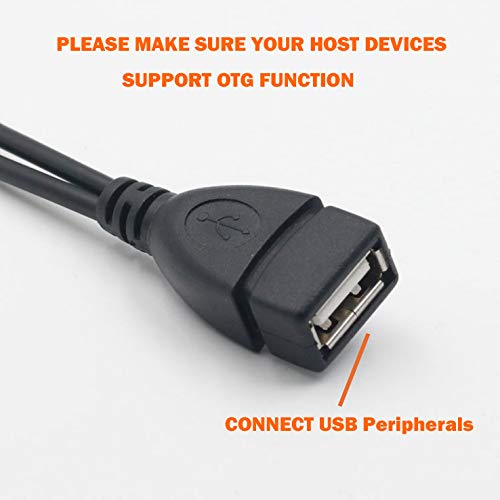 AuviPal 2-in-1 Micro USB to USB Adapter (OTG Cable + Power Cable) for Fire Stick, Playstation Classic and More - 2 Pack 1 USB Port