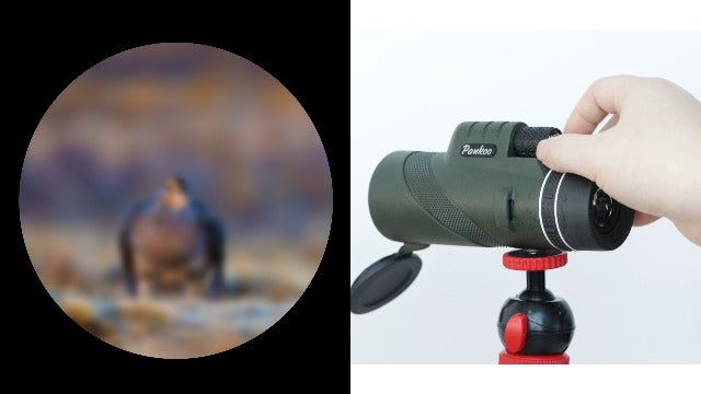 40X60 Monocular Telescope, High Power Monocular for Adults with Phone Adapter & Tripod & Hand Strap, Equipped with BAK4 Prism for Bird Watching Deep Green