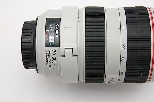 Tripod Collar Mount Ring C (WII) for Canon 70-300mm f/4-5.6L
