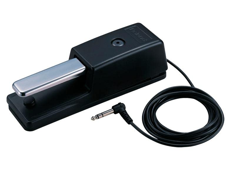 Roland danpa-pedaru DP – 10