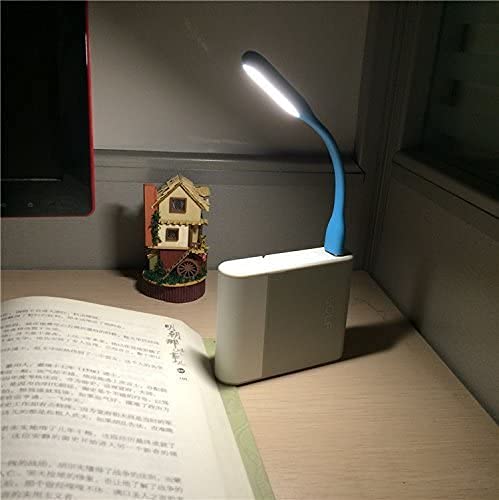 Boodgood USB Light for Keyboard, USB Laptop Light, Mini USB Lamp for Notebook Computer, Flexible Gooseneck Reading Lamp, LED Lighting Source, 10-Pack