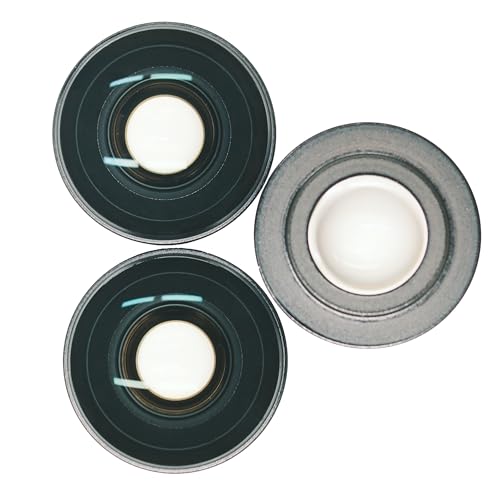 Koulele Replacement Lens for New Insta360 X4 Action Camera Lens Repair Part (X4-version2-1pic) Ver2-1 Pic