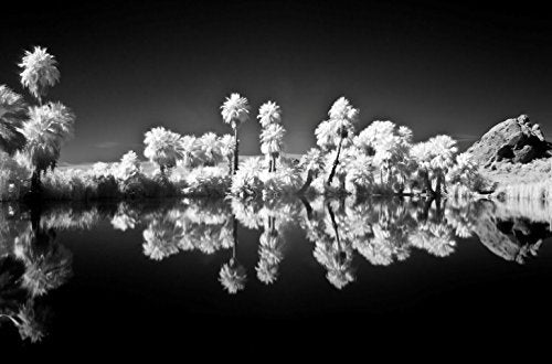 ICE IR 55mm 55 Slim Filter Infrared Infra-Red 760HB 760nm 760 Optical Glass
