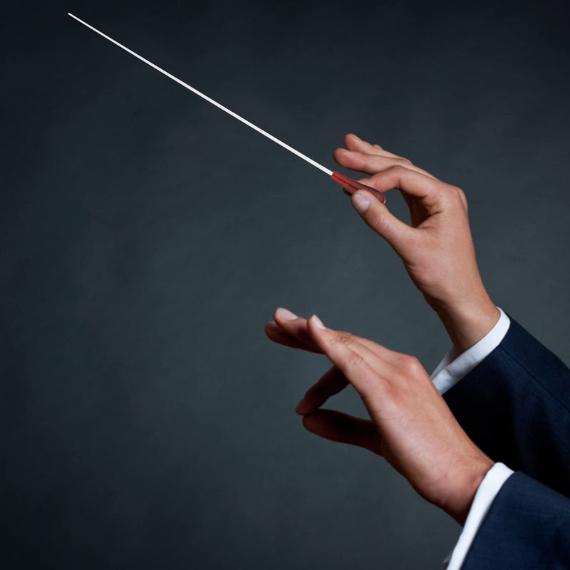 2 Sets Music Conductor Batons with Dulcimer Cylinders, Orchestra Baton Conducting Baton Orchestra Conductor Baton for Orchestra Concert Theater Band