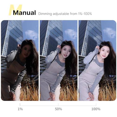 Ulanzi F12 Mini Camera Flash Speedlite, GN12 CCT 5600K for Canon Sony Fuji White