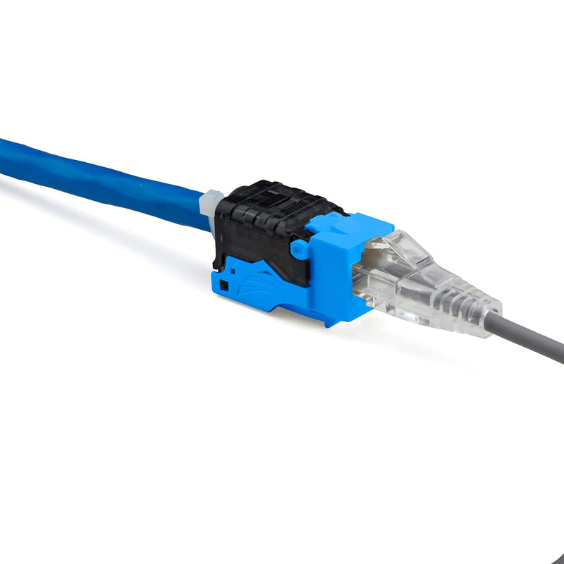 TRUE CABLE Cat6 Toolless Keystone Jack, Unshielded (UTP), PoE++ (4PPoE) 100W, UL Listed, ETL Verified, ANSI/TIA Certified, Modular RJ45 Female, Blue, 12 Pack 12pc