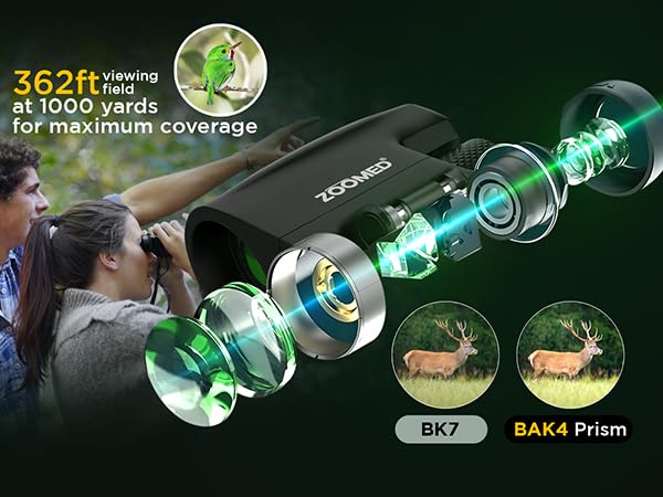 10x25 High-Powered Compact Binoculars for Adults – Long Range Bird Watching, Travel for Cruise Ship, Lightweight Small for Hiking, Sports & Outdoor Adventures 10x25 Black Binoculars