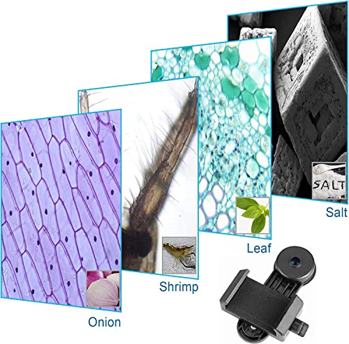 Celticbird Smartphone Camera Adapter for Microscope Eyepiece Tube 23.2mm - Built-in 16X Microscope Eyepiece