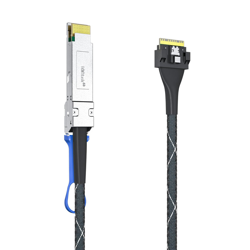 10Gtek 200Gbps QSFP-DD to SlimSAS 8i Cable, SFF-8654 SAS4.0, 24Gbps/Channel PCIe 4.0 High-Speed Internal Cable for Server/Storage‌, 0.5m/1.6ft