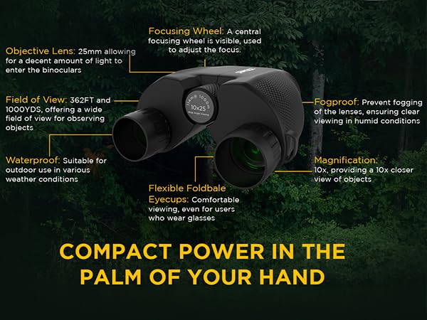 10x25 High-Powered Compact Binoculars for Adults – Long Range Bird Watching, Travel for Cruise Ship, Lightweight Small for Hiking, Sports & Outdoor Adventures 10x25 Black Binoculars