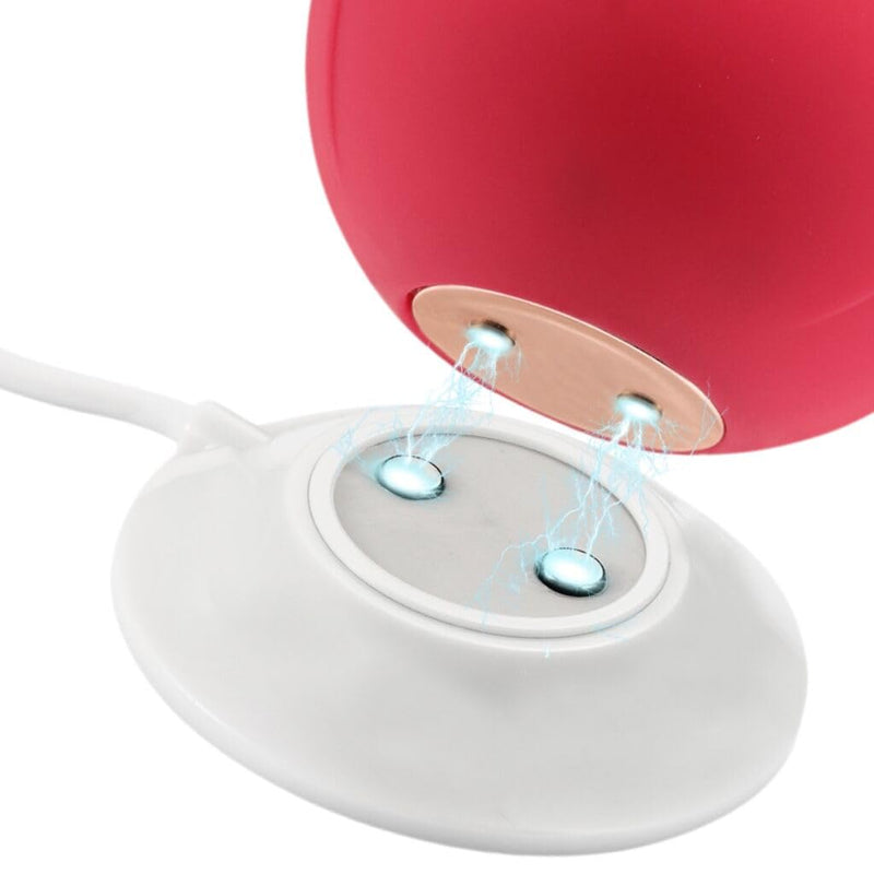 Replacement Rose Charger,Standing Magnetic Charger USB Cable,Replacement Base Dock Station for Rose Only-12mm