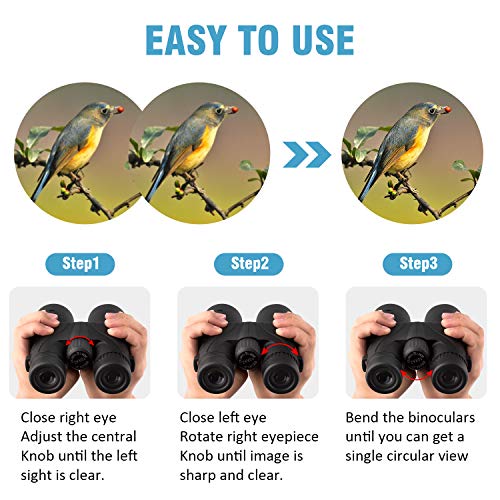 10x42 Binoculars for Adults - Professional HD Roof BAK4 Prism Lens Binoculars for Bird Watching, Hunting, Travel, Sports, Cruise, with Carrying Bag (1.1Lbs) New Model