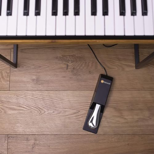 M-AUDIO SP-2 Universal Sustain Pedal Sustain Pedal SP-2