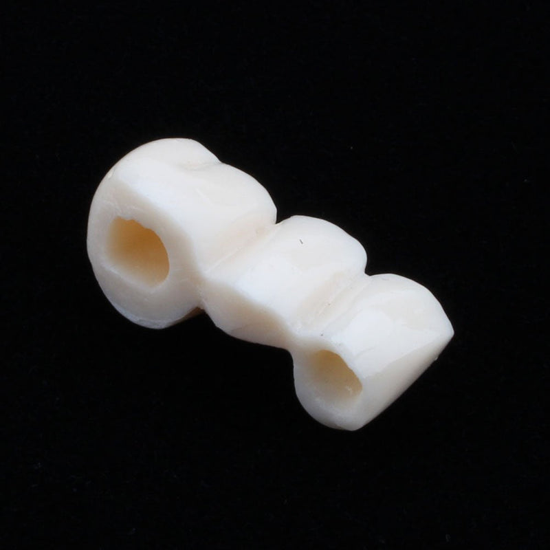 Model of Dentist Training, Dental Implant Disease Teaching Study Analysis Adult Typodont Demonstration Teeth Model New