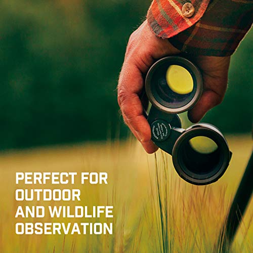 Amcrest 10x42 Roof Prism Binoculars for Adults, HD Professional Binoculars for Bird Watching, Travel, Stargazing, Hunting, Concerts, Sports, BAK-4 Prisms, Smart Phone Adaptor for Photography