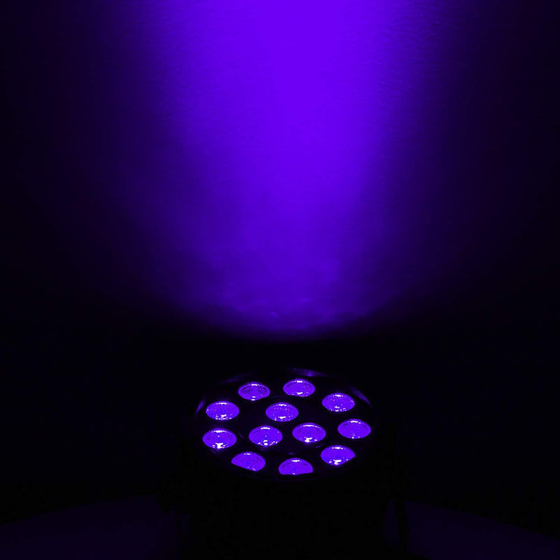 Eliminator Lighting LED Lighting, Black (MINIPARUVLED)