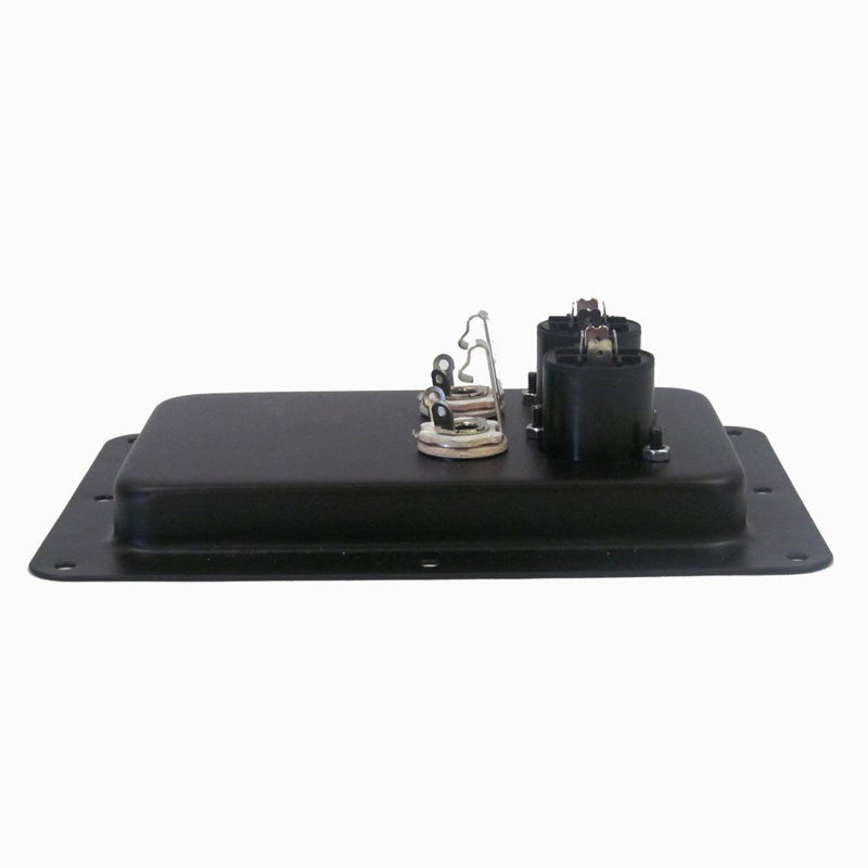 Seismic Audio - Pair of Jack Plates with Dual Speakon and Dual 1/4" PA/DJ Speaker Cabinet