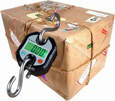 [AUSTRALIA] - Digital Hanging Scales Portable Heavy Duty Crane Scale 150 kg 300 lb 2 AAA Batteries(Not Included)) (Black) Black 