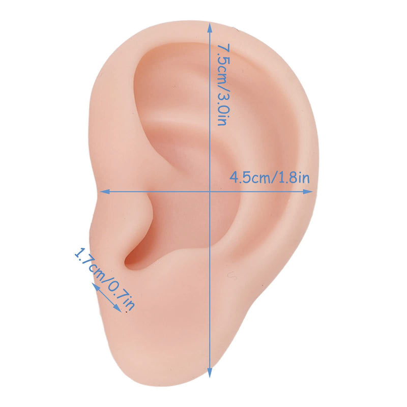 Human Ear Model, 1 Pair Soft Silicone Simulation Ear Model, Flexible Artificial Ear, Realistic Body Parts for Piercing Exercises, Earrings, Jewellery Display (2#) 2#