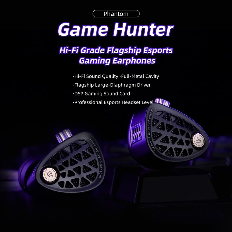 KZ Phantom Gaming Earbuds Hi-Fi Metal IEMs, Earphones, in-Ear Headphones with Large Dynamic Driver, Sound Effect Adjustment, Detachable and Replaceable Silver-Plated Cable (Black, with Microphone) Black