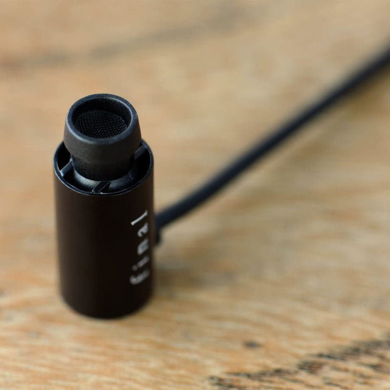 Final Canal Type Earphone E2000 FI-E2DALã€Japan Domestic Genuine productsã€‘ Black