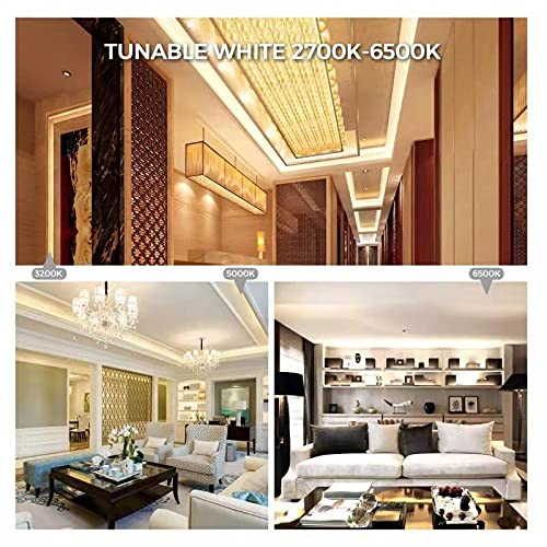 CCT COB LED Strip Light 16.4ft, Tunable White Warm White to Cool White LED Strip, 608LEDs/M DC24V Tape Light, CRI90+, Bluetooth App Control, Dimmable Strips for Bedroom, Office, DIY Lighting. 2700K-6500K
