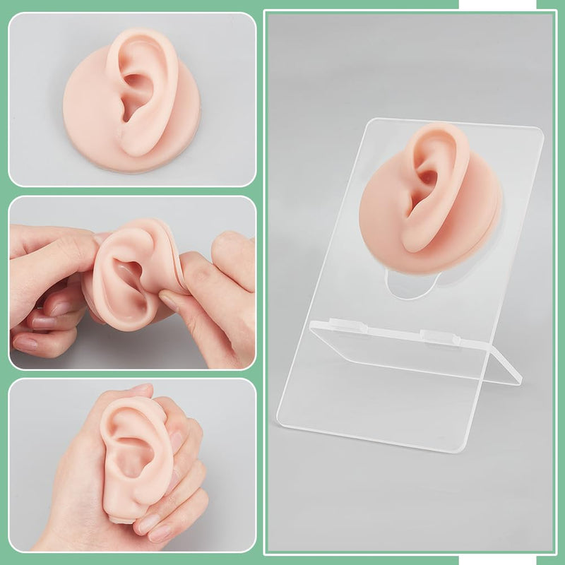 nbeads Set of 2 Silicone Ear Model with Acrylic Stand, Left and Right Flexible Model Piercing Practice Realistic Soft Ear Shape for Jewellery Display Acupuncture Mannequin Teaching